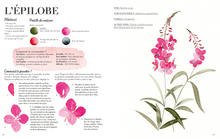 Charger l'image dans la galerie, Mon livre "Aquarelle fleurs des champs" / Reconnaître et peindre la poésie de la nature