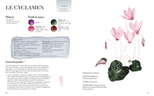 Charger l'image dans la galerie, Mon livre "Aquarelle beautés vénéneuses" / Reconnaître et peindre la poésie de la nature