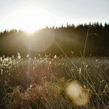 Charger l'image dans la galerie, Retraite créative du 17 au 19 octobre 2025
