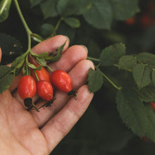 Charger l'image dans la galerie, Retraite créative du 17 au 19 octobre 2025