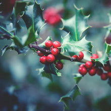 Charger l'image dans la galerie, Retraite créative du 17 au 19 octobre 2025