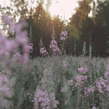 Charger l'image dans la galerie, Retraite créative du 2 au 4 mai 2025