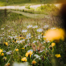 Charger l'image dans la galerie, Retraite créative du 2 au 4 mai 2025