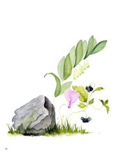 Charger l&#39;image dans la galerie, Mon livre &quot;Aquarelle beautés vénéneuses&quot; / Reconnaître et peindre la poésie de la nature

