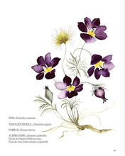 Charger l&#39;image dans la galerie, Mon livre &quot;Aquarelle beautés vénéneuses&quot; / Reconnaître et peindre la poésie de la nature
