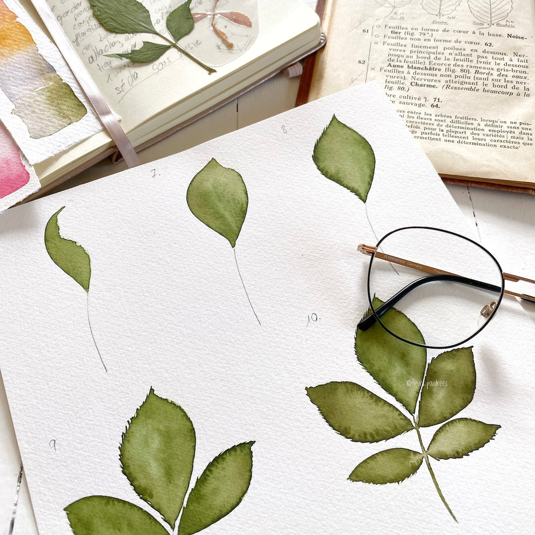 Cours Aquarelle Débutants 1